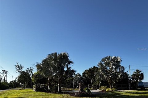 Land in Port Charlotte, Florida № 1637128 - photo 6