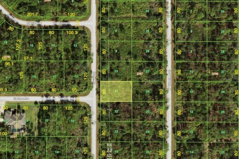 Land in Port Charlotte, Florida № 2164176 - photo 2