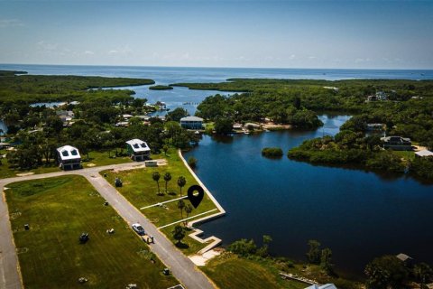 Land in New Port Richey, Florida № 1919283 - photo 2