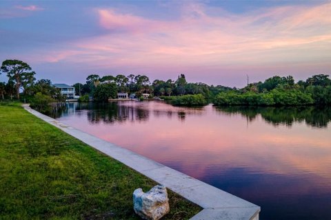 Land in New Port Richey, Florida № 1919283 - photo 4