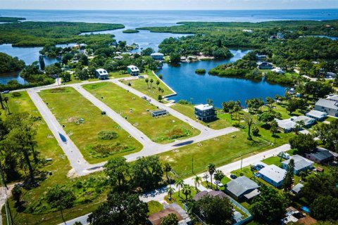 Land in New Port Richey, Florida № 1919283 - photo 3