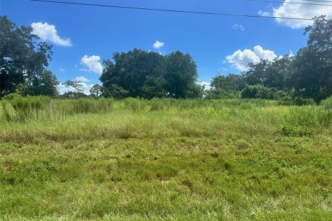 Land in Summerfield, Florida № 1880479 - photo 2