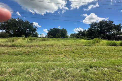 Land in Summerfield, Florida № 1880479 - photo 3