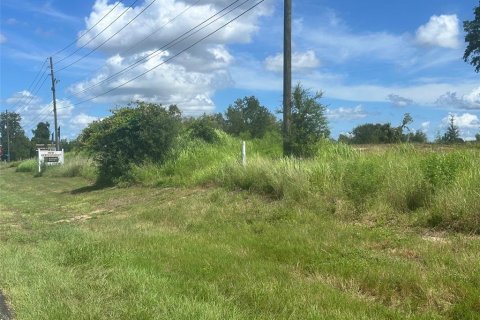 Land in Summerfield, Florida № 1880479 - photo 1