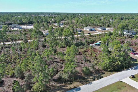 Land in Lehigh Acres, Florida № 2158256 - photo 5