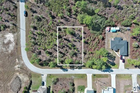 Land in Lehigh Acres, Florida № 2158256