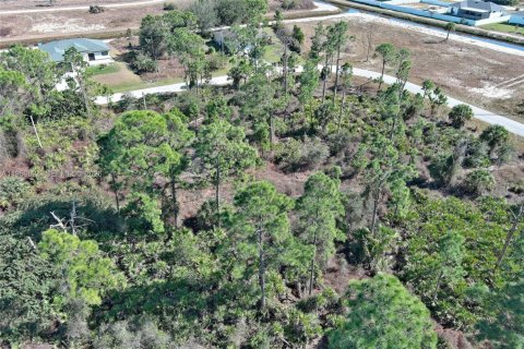 Land in Lehigh Acres, Florida № 2158256 - photo 16