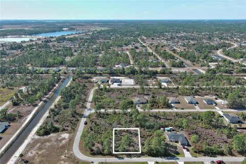 Land in Lehigh Acres, Florida № 2158256 - photo 2