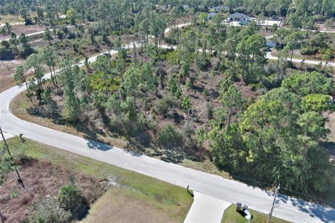 Land in Lehigh Acres, Florida № 2158256 - photo 25