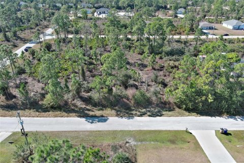 Land in Lehigh Acres, Florida № 2158256 - photo 26