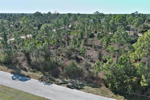 Land in Lehigh Acres, Florida № 2158256 - photo 20