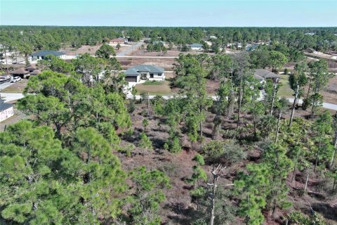 Land in Lehigh Acres, Florida № 2158256 - photo 17