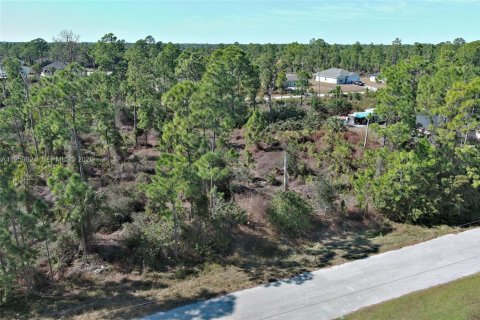 Land in Lehigh Acres, Florida № 2158256 - photo 21