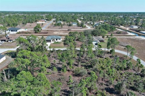Land in Lehigh Acres, Florida № 2158256 - photo 15