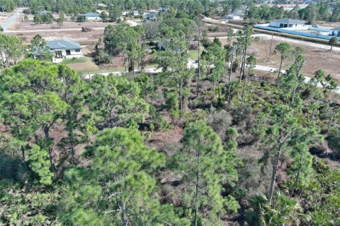 Land in Lehigh Acres, Florida № 2158256 - photo 19
