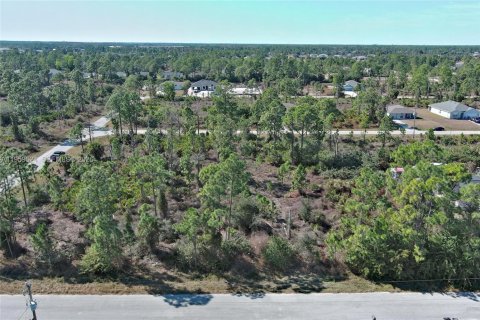 Land in Lehigh Acres, Florida № 2158256 - photo 27