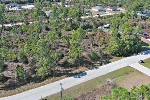 Land in Lehigh Acres, Florida № 2158256 - photo 28