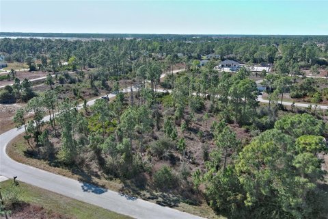 Land in Lehigh Acres, Florida № 2158256 - photo 4
