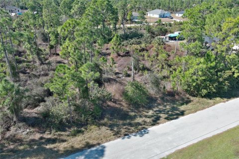 Land in Lehigh Acres, Florida № 2158256 - photo 22