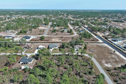 Land in Lehigh Acres, Florida № 2158256 - photo 11