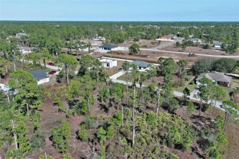 Land in Lehigh Acres, Florida № 2158256 - photo 14