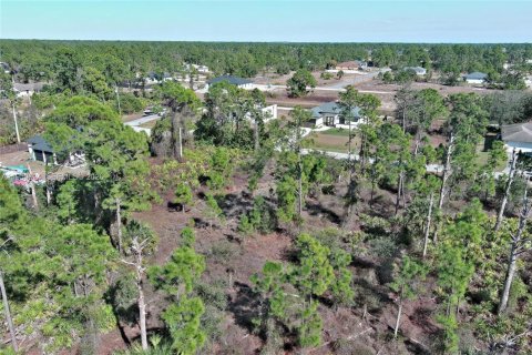 Land in Lehigh Acres, Florida № 2158256 - photo 18