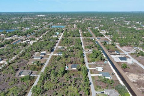 Land in Lehigh Acres, Florida № 2158256 - photo 9