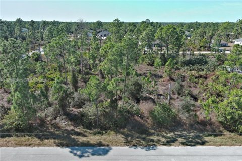 Land in Lehigh Acres, Florida № 2158256 - photo 3
