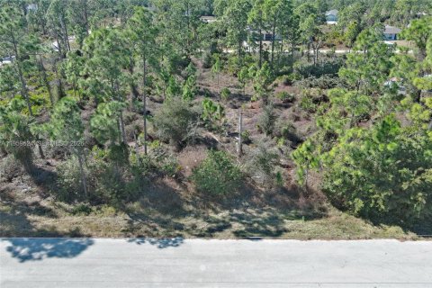 Land in Lehigh Acres, Florida № 2158256 - photo 23