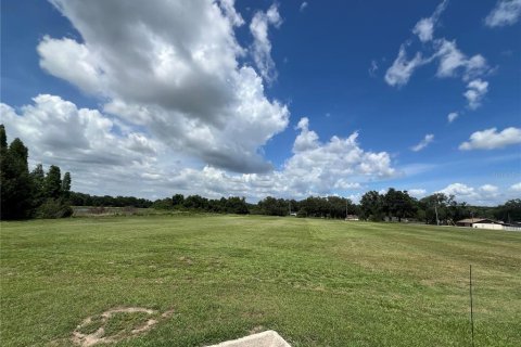 Land in Lakeland, Florida № 2218292