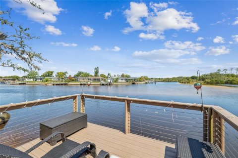 House in New Port Richey, Florida 4 bedrooms, 258.92 sq.m. № 1806909 - photo 4