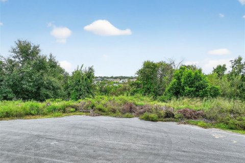 Terreno en venta en Clermont, Florida № 1905981 - foto 3