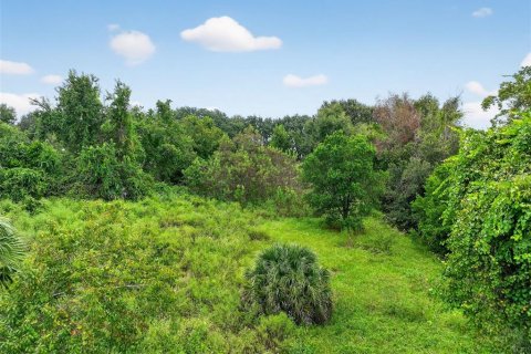 Terreno en venta en Clermont, Florida № 1905981 - foto 12