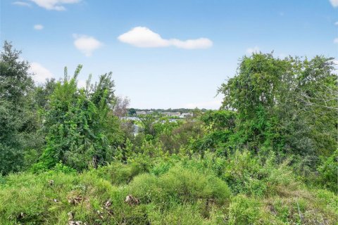 Terreno en venta en Clermont, Florida № 1905981 - foto 11