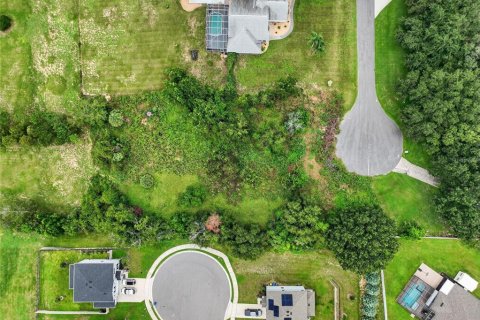 Terreno en venta en Clermont, Florida № 1905981 - foto 2