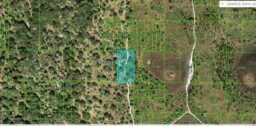 Terreno en Lake Wales, Florida № 2226954