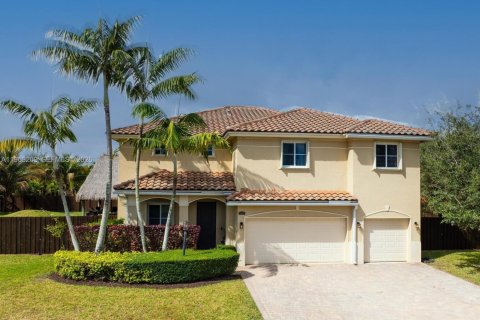 Villa ou maison à Homestead, Floride 6 chambres, 354.89 m2 № 2040311