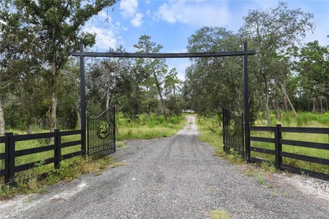 Casa en venta en Eustis, Florida, 5 dormitorios, 334.45 m2 № 1902002 - foto 4