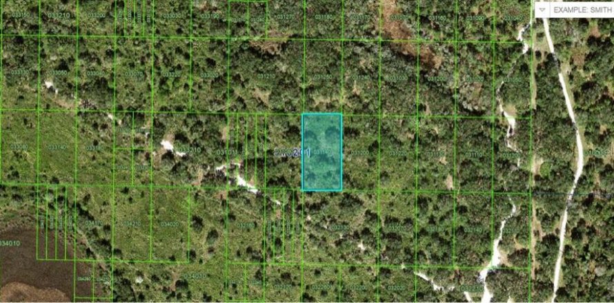 Terreno en Frostproof, Florida № 2160716