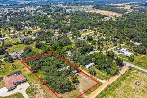 Immobilier commercial à vendre à Davenport, Floride: 10 chambres, 261.98 m2 № 1917184 - photo 13