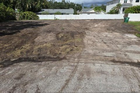 Terrain à Tampa, Floride № 2107510