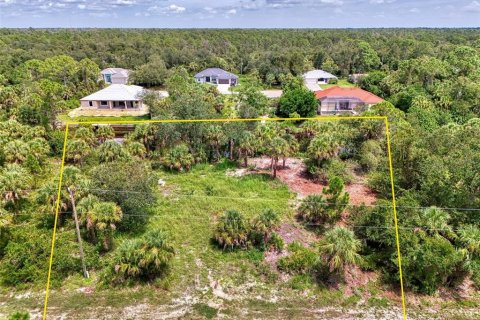 Land in Port Charlotte, Florida № 1894065 - photo 6