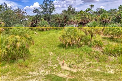 Land in Port Charlotte, Florida № 1894065 - photo 4