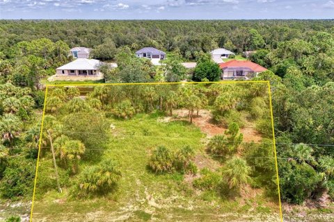 Land in Port Charlotte, Florida № 1894065 - photo 7