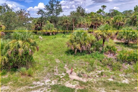 Land in Port Charlotte, Florida № 1894065 - photo 3