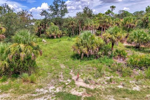 Land in Port Charlotte, Florida № 1894065 - photo 2