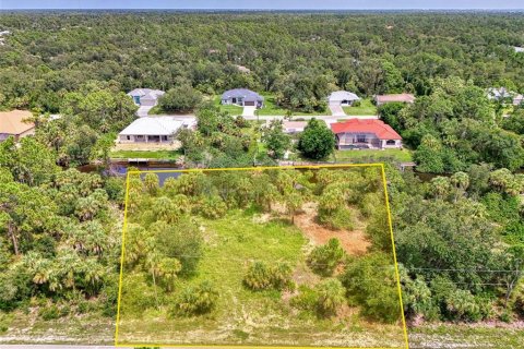 Land in Port Charlotte, Florida № 1894065 - photo 10
