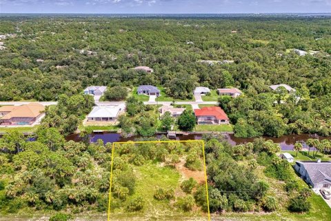 Land in Port Charlotte, Florida № 1894065 - photo 13