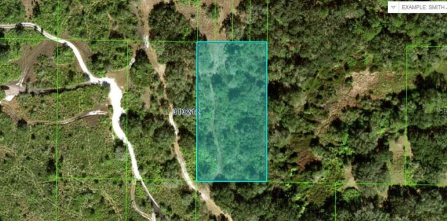 Terreno en Frostproof, Florida № 2202857