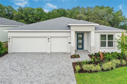 Casa en Lady Lake, Florida 3 dormitorios, 231.33 m2 № 2155984